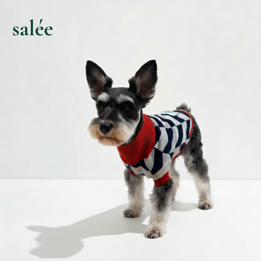 Chevron 100% Cashmere Sweater