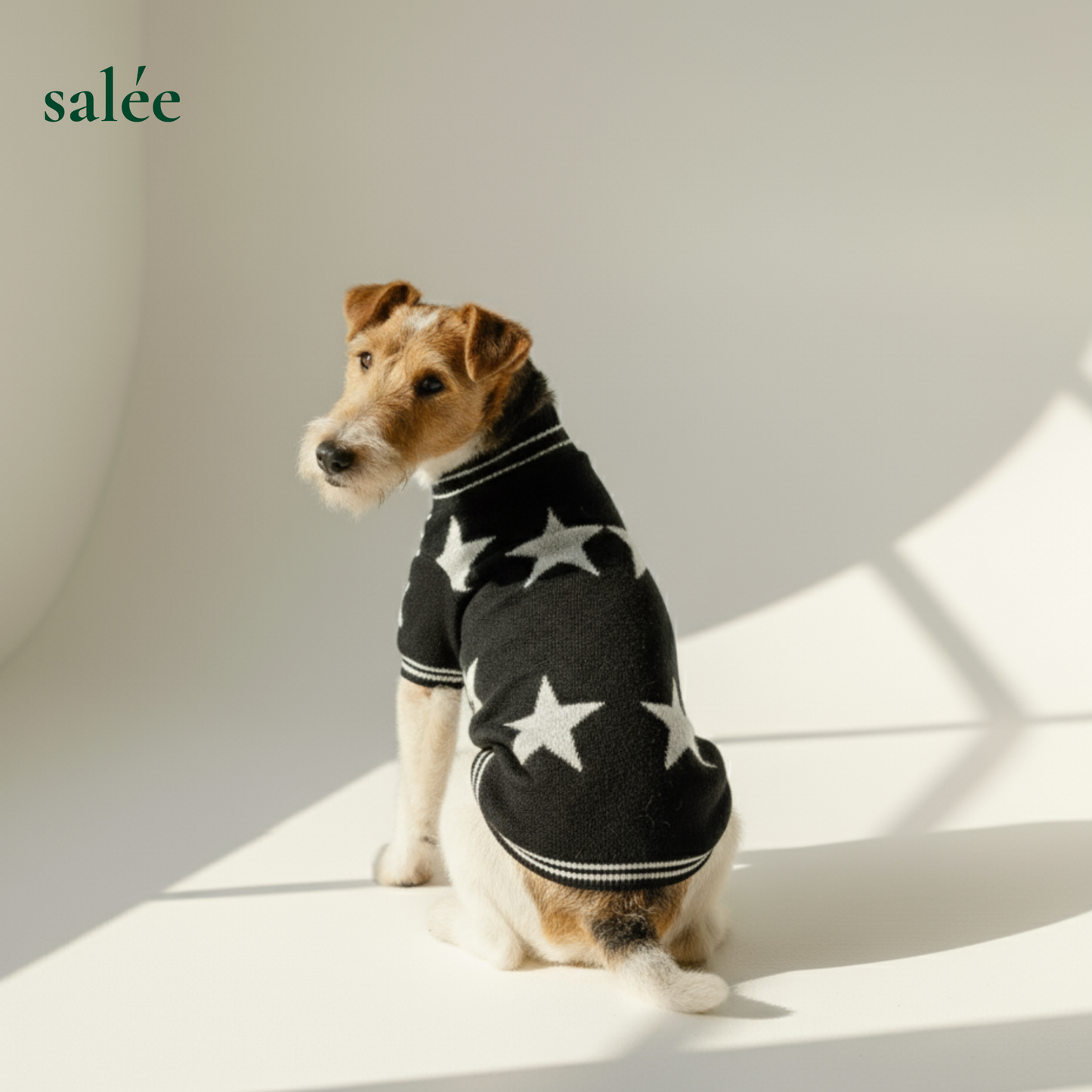 Superstar 100% Cashmere Sweater