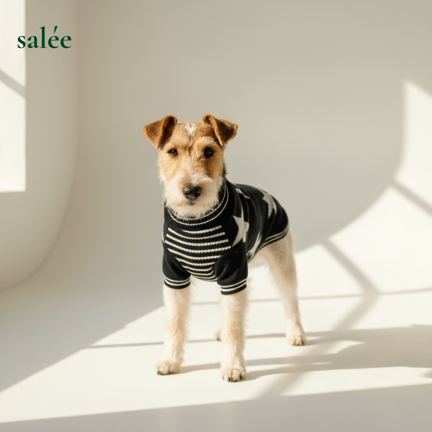 Superstar 100% Cashmere Sweater