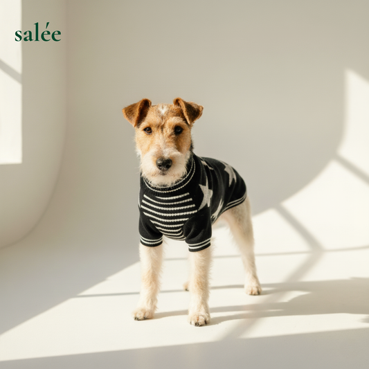 Superstar 100% Cashmere Sweater
