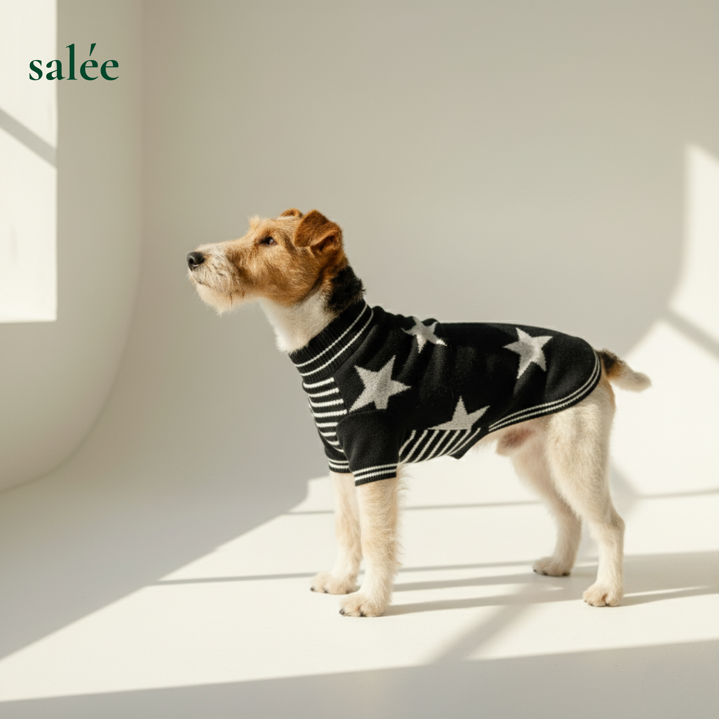 Superstar 100% Cashmere Sweater