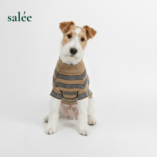 Rayure 100% Cashmere Sweater