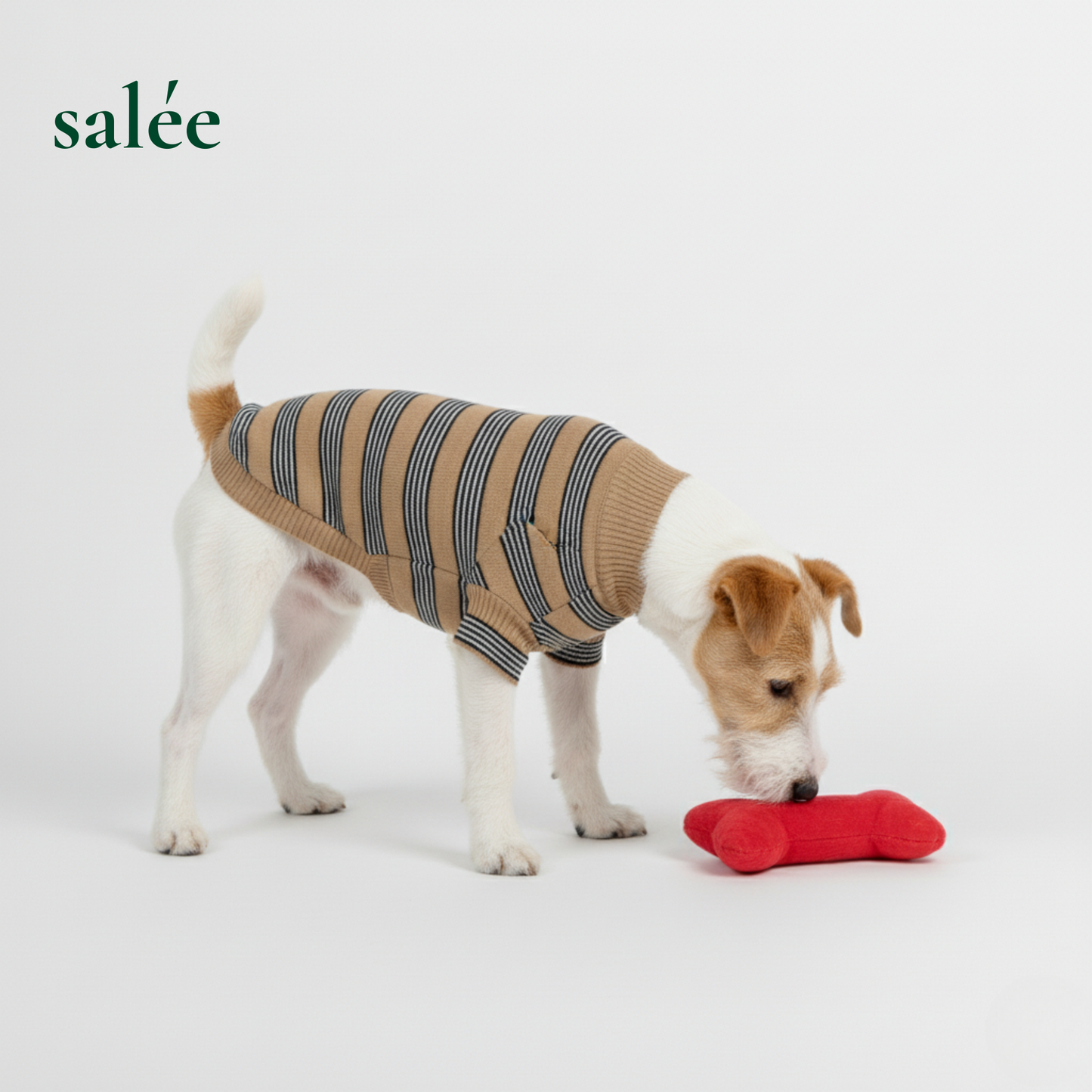 Rayure 100% Cashmere Sweater