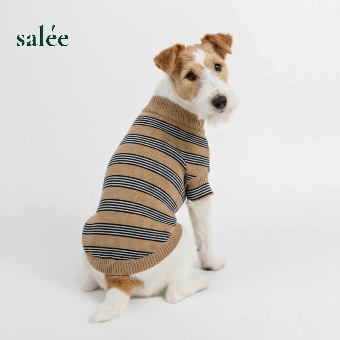Rayure 100% Cashmere Sweater